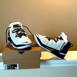 Lebron XVIII